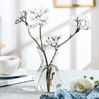 Decor lọ thuỷ tinh trang trí nhà cửa