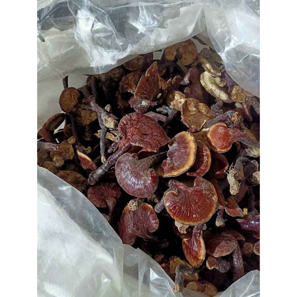 NẤM LIM XANH RỪNG LOẠI 1 | BigBuy360 - bigbuy360.vn