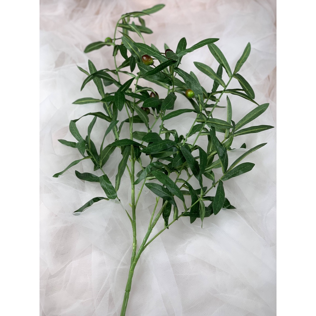 CÀNH OLIVE, cành OLiu ; Hoa trang trí Anthinh Decor