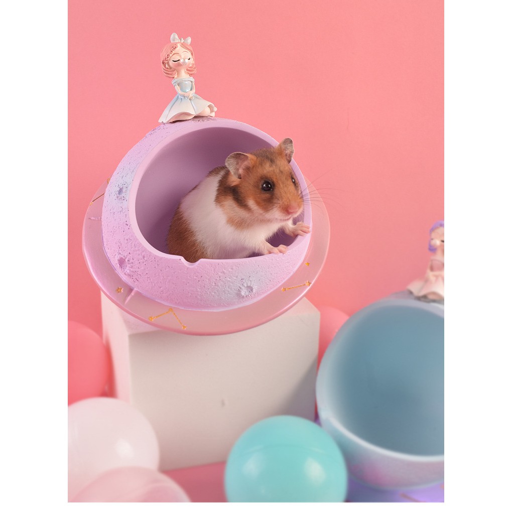 nhà hành tinh phiên bản công chúa cho hamster, fat tail, sóc,...