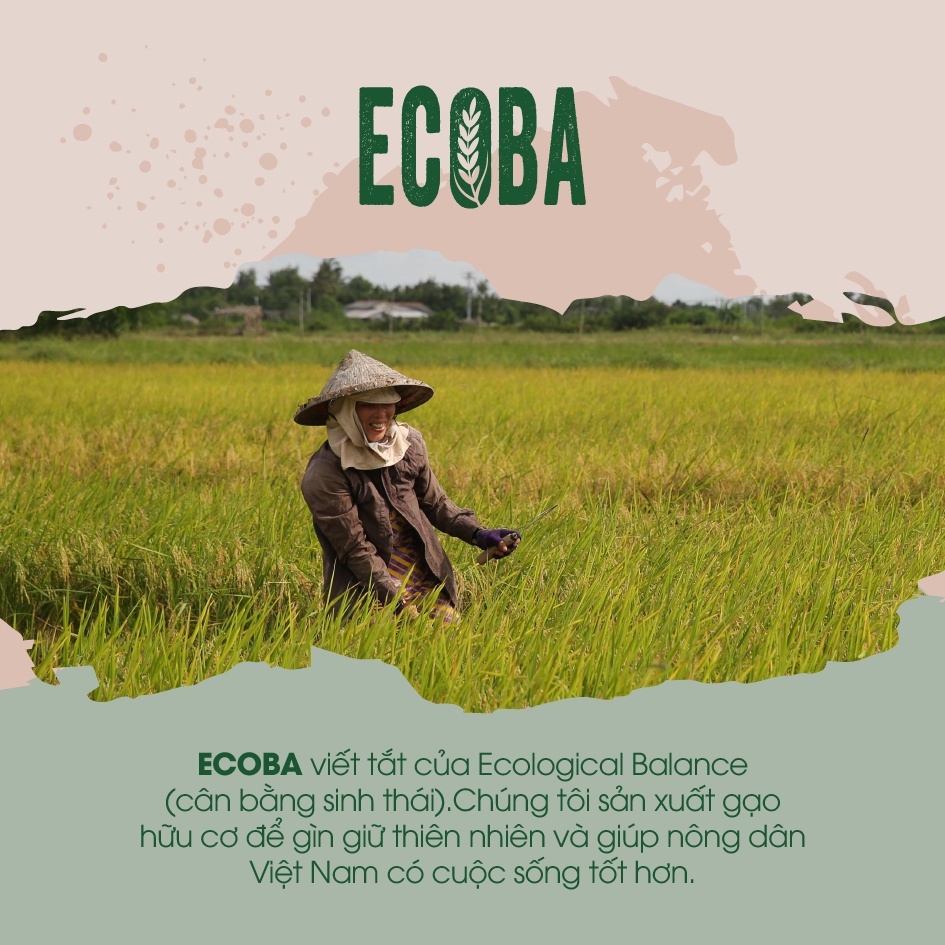 Gạo hữu cơ cao cấp/ECOBA Ngọc Mễ 1kg