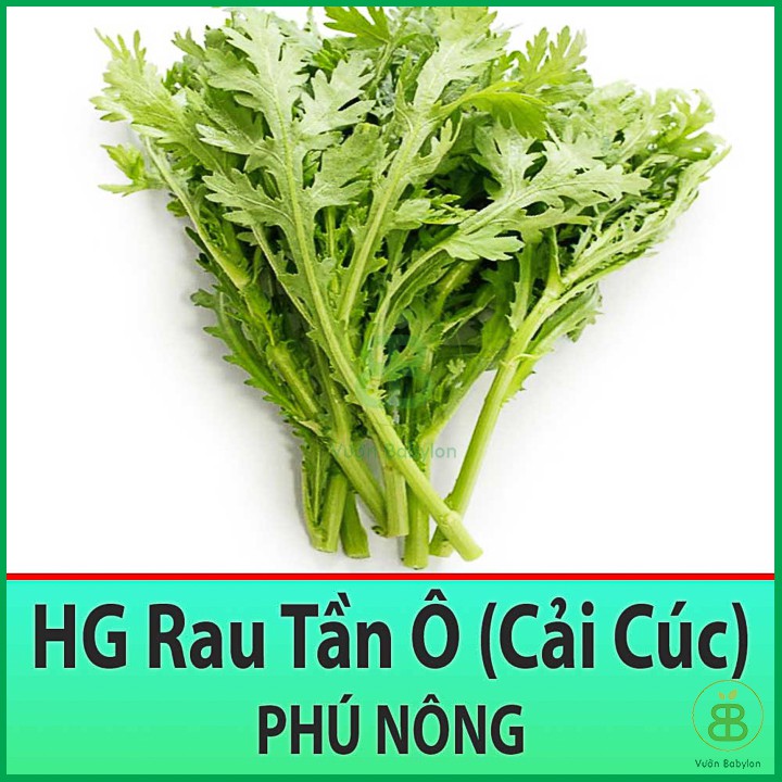 Hạt Giống Rau Tần Ô 20Gr - Hạt Giống Cải Cúc Dễ Trồng, Giàu Dinh Dưỡng