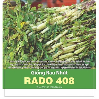 Hạt giống rau nhút 408