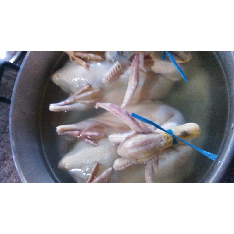 THỊT GÀ , VỊT TƯƠI SỐNG NGUYÊN CON