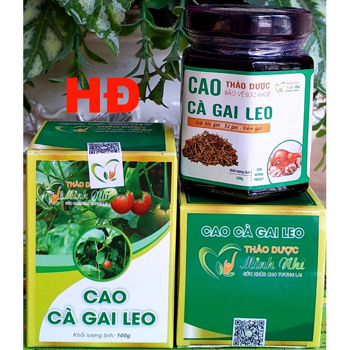 Cao Cà Gai Leo (lọ 100g) giải độc gan, bảo vệ gan của Đông nam dược Minh Nhi