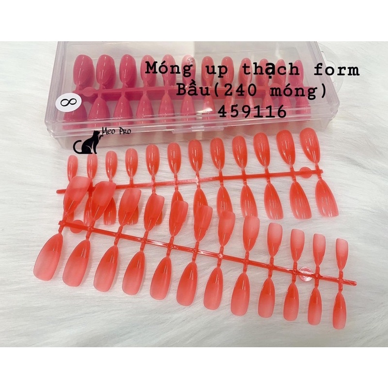 Móng úp thạch nhọn- vuông- thang móng dẻo , ôm phom