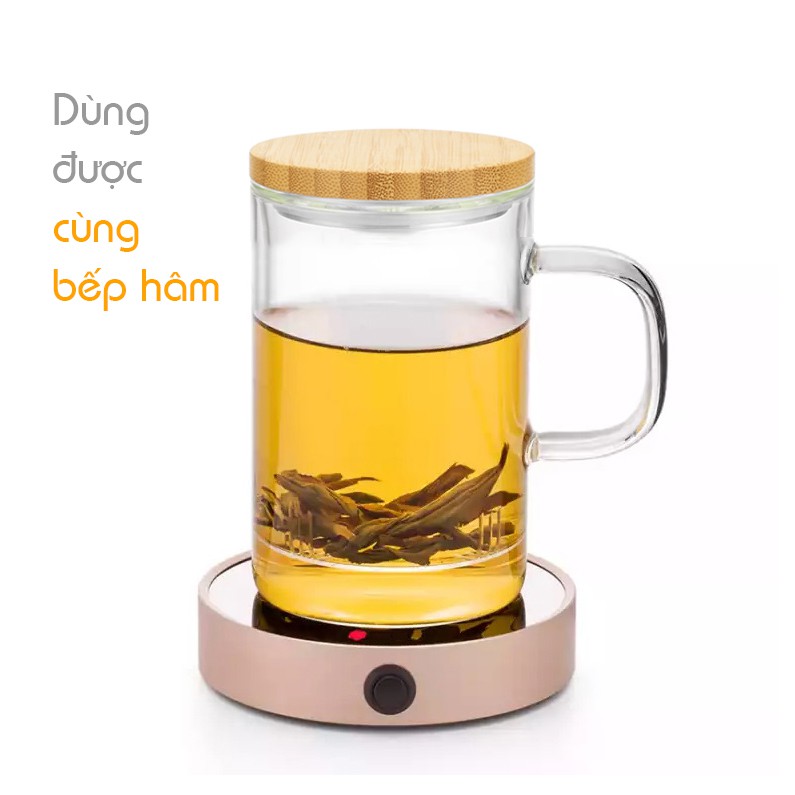 Ly lọc trà thủy tinh lõi thủy tinh 500ml