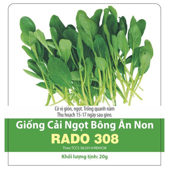 Hạt Giống Cải Ngọt Bông Ăn Non (RD308) 20gr