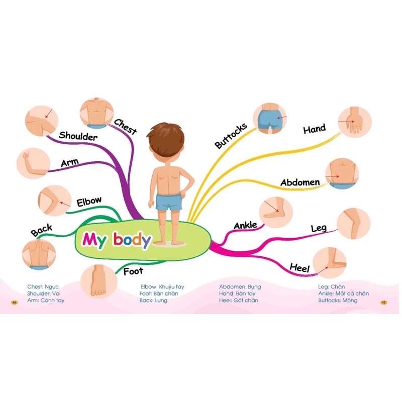 Sơ Đồ Tư Duy Mindmap 30 chủ đề cho bé