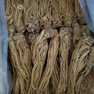 Sỉ toàn quốc giá rẻ sâm đương quy 500g - 1kg