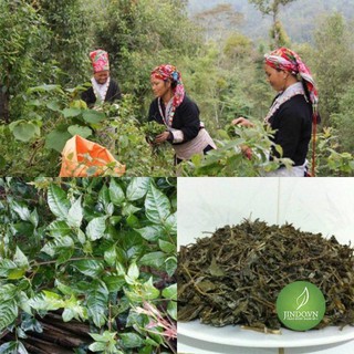 Chè dây Cao Bằng 1 KG - OLF001