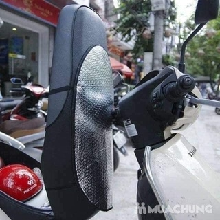 Tấm Phủ Bạc