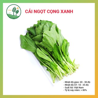 Hạt Giống Rau Cải Ngọt - 20gr - Thu Hoạch Sau 25 ngày