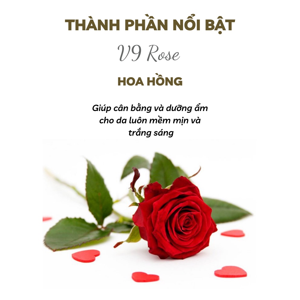 Sữa tắm nước hoa, dưỡng trắng da, mùi hương hoa hồng nhẹ nhàng - V9  Rose 200ml/Chai | BigBuy360 - bigbuy360.vn