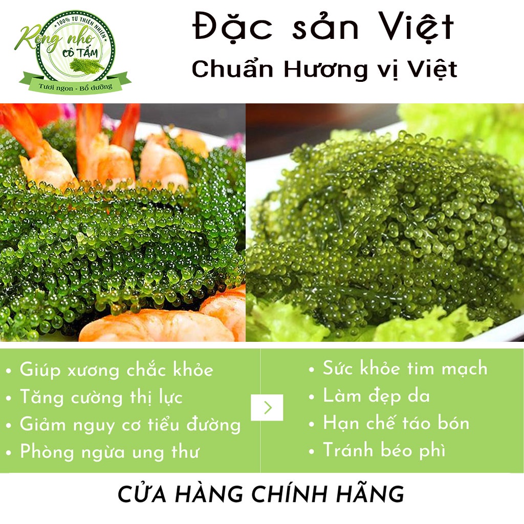 Rong nho Green Food, tác dụng của rong nho, rong nho khô - Túi zipper 100g, 𝑭𝑹𝑬𝑬𝑺𝑯𝑰𝑷, đặc sản Việt(mua 2 tặng nước sốt)