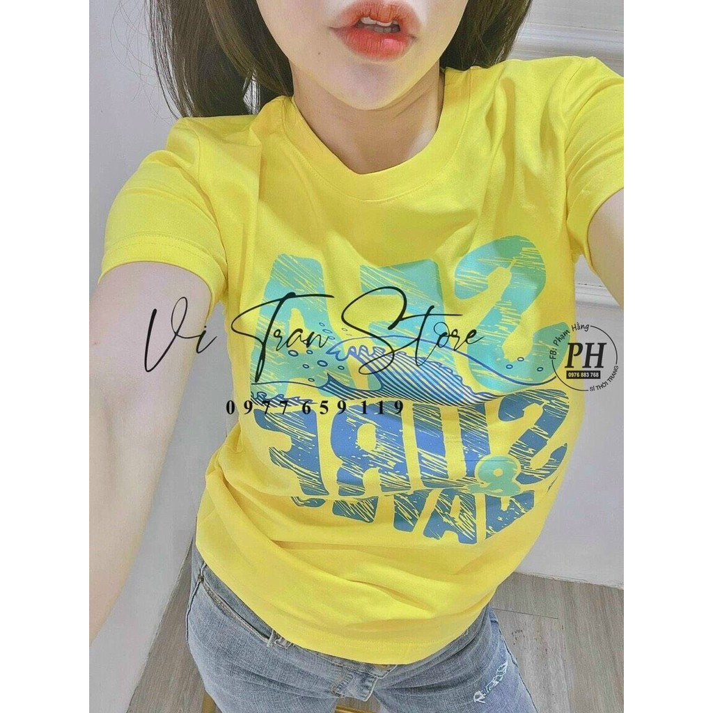 Áo thun nữ cổ tròn vải Cotton co giãn, thoáng mát ( Kèm VIDEO )