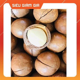 [500gr] Hạt Macca tươi Đắk Lắk sấy khô nứt vỏ loại 1 [Kèm đồ khui]