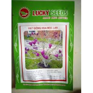 Hạt giống hoa mộc lan (03 hạt)
