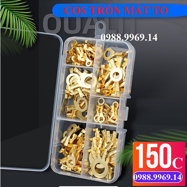COS ĐỒNG TRẦN MẮT TO