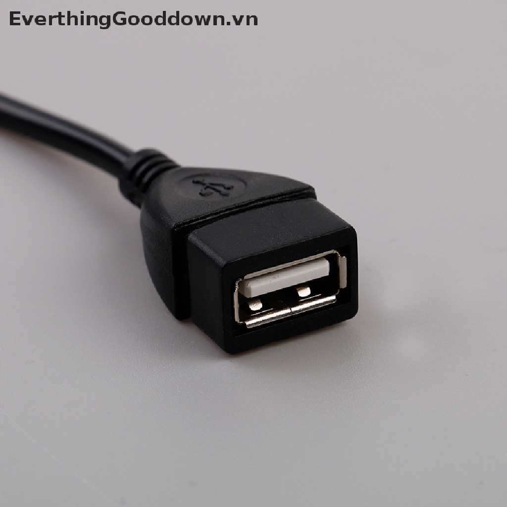 Everthinggooddown Dây Cáp V3 / V8 micro mini otg Sang usb female
