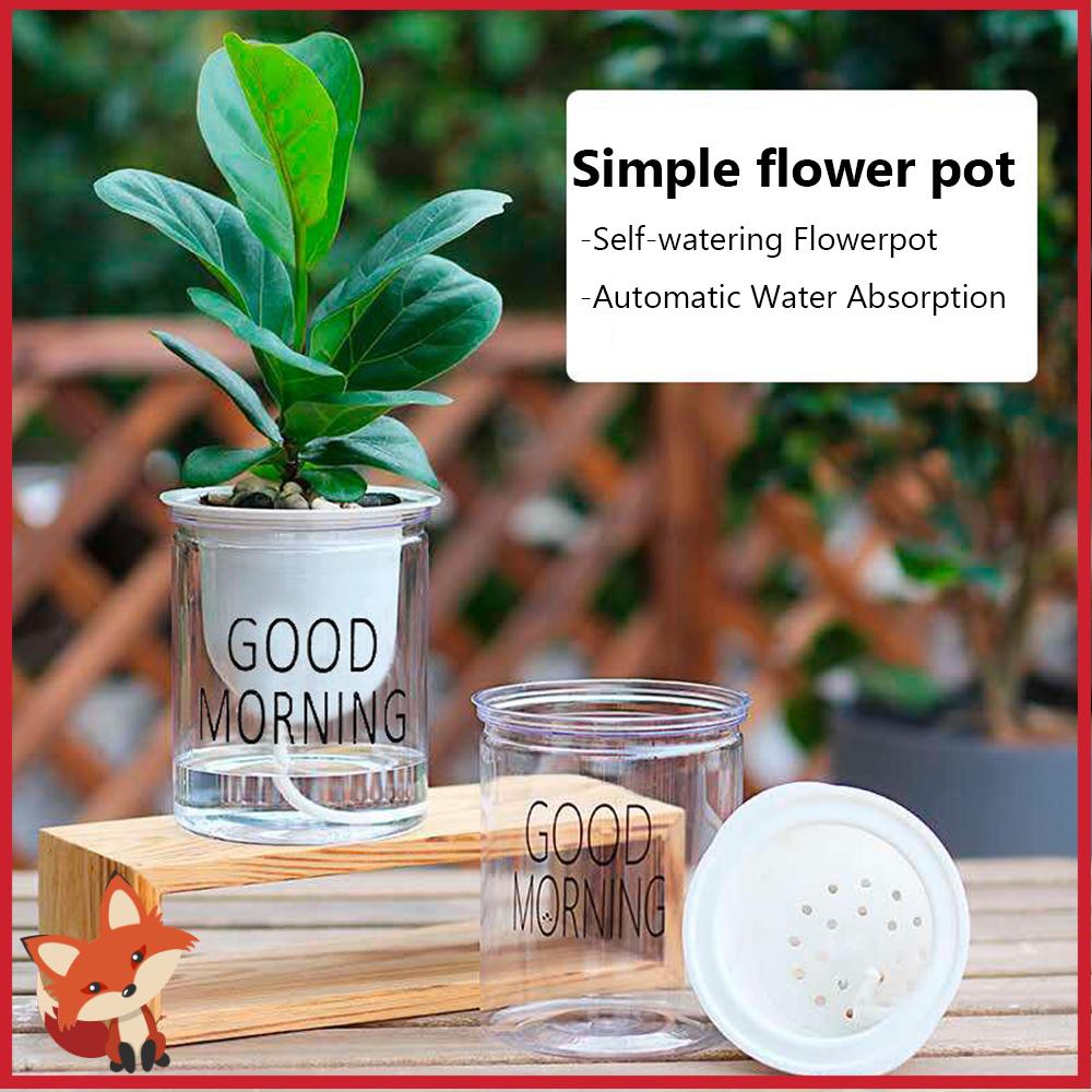 Chậu Hoa Bằng Nhựa Trong Suốt Hình Tròn Dùng Trang Trí Dễ Thương