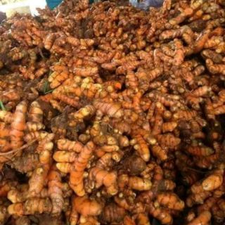 TINH BỘT NGHỆ ĐỎ