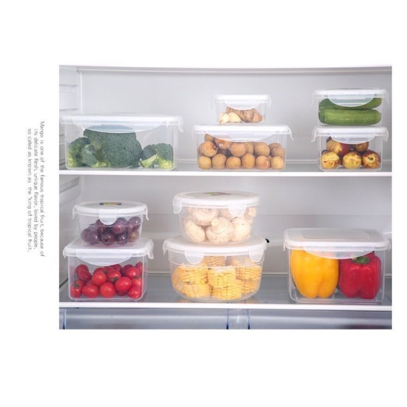 Hộp đựng thực phẩm -Đựng thức ăn Nhựa Cao Cấp Để Tủ Lạnh Giữ Nhiệt