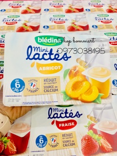 Sữa chua nguội bledina pháp đủ vị