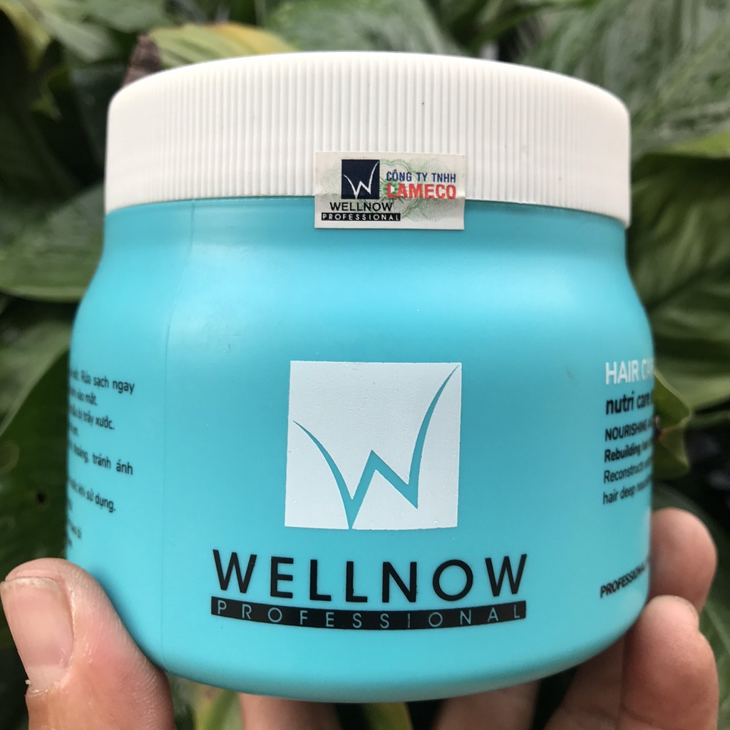 Kem ủ tóc hấp dầu phục hồi tóc khô xơ, hư tổn Nutri Care Wellnow 500ml