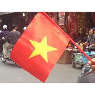 Combo Cờ Việt Nam Nhỏ Cầm Tay