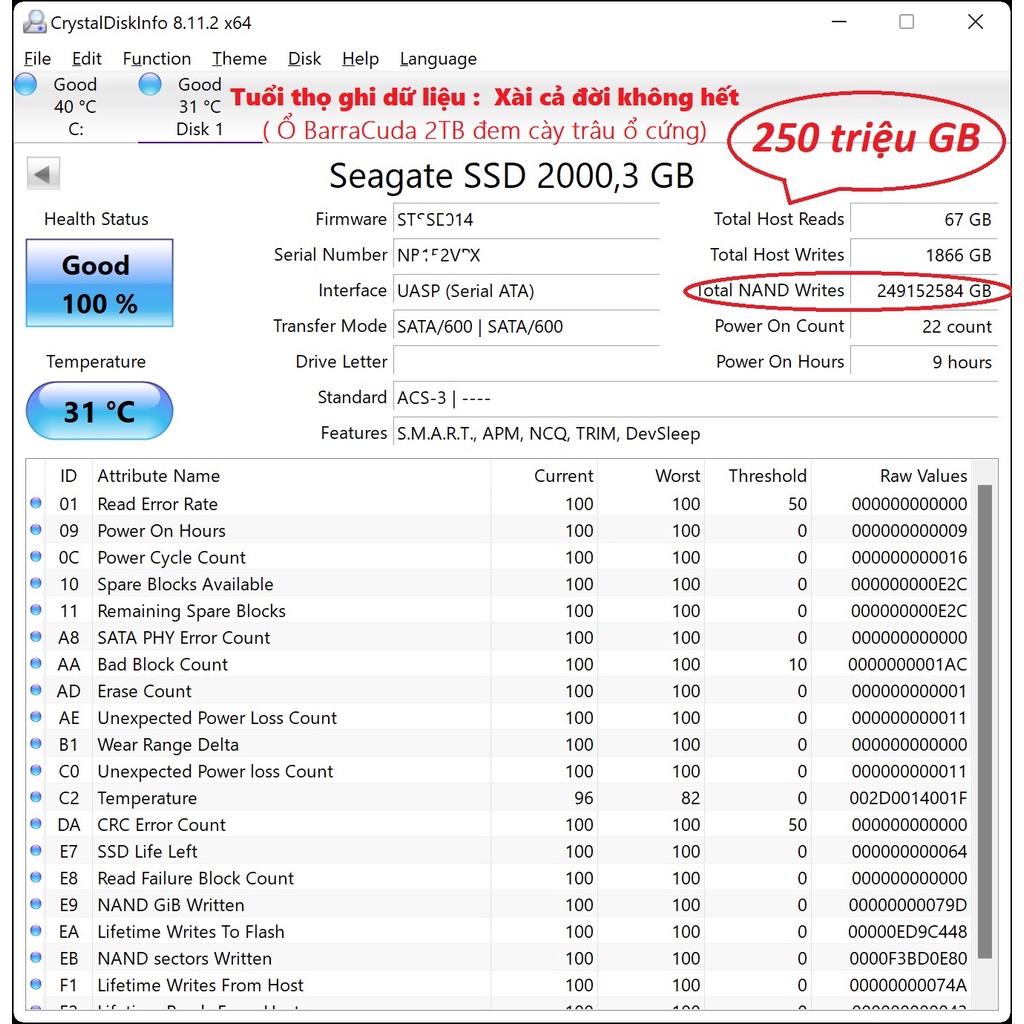 Ổ CỨNG SSD SATA 2.5'' 2TB SEAGATE - ổ Laptop BarraCuda nhanh hơn  Samsung Evo 860 870  WD black kingston 1TBk Kingston | BigBuy360 - bigbuy360.vn