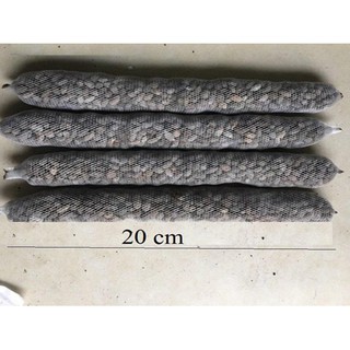 Combo 10 túi Phân dê bón lan 20cm - Rau củ quả trồng tại vườn, sân thượng, nông trang, ban công