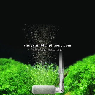 Cốc sủi co2 siêu mịn phiên bản giới hạn - khuếch tán hoà tan co2 tốt cho cây thuỷ sinh