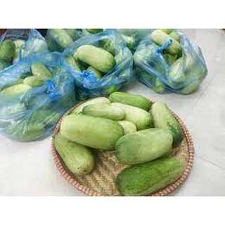 Hạt giống dưa chuột mèo quả siêu to 30 hạt