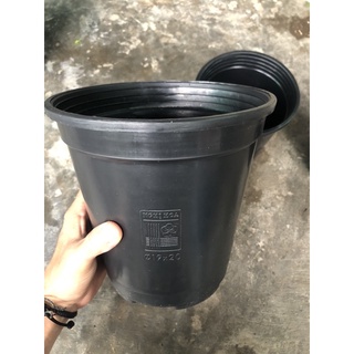 Chậu trồng kiểng lá