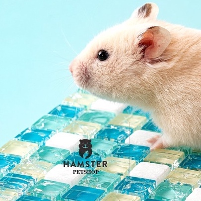 Đá làm mát, tản nhiệt mùa hè cho bé hamster , gunie pig