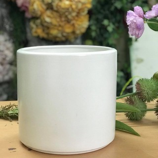 Chậu gốm trụ trắng trồng cây Lan Decor 19cm, 22cm, 26cm, 30cm