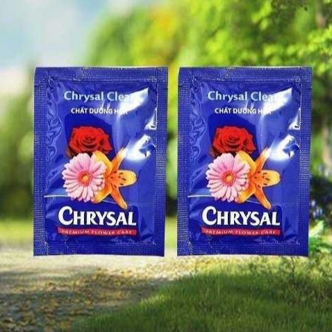 (50 gói) chất dưỡng hoa tươi, dưỡng hoa lâu tàn CHRYSAL