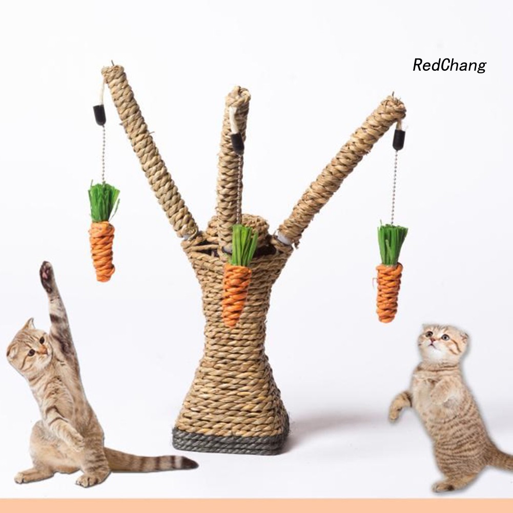 Đồ chơi cào móng cho mèo cưng hình cây gắn củ cà rốt độc đáo