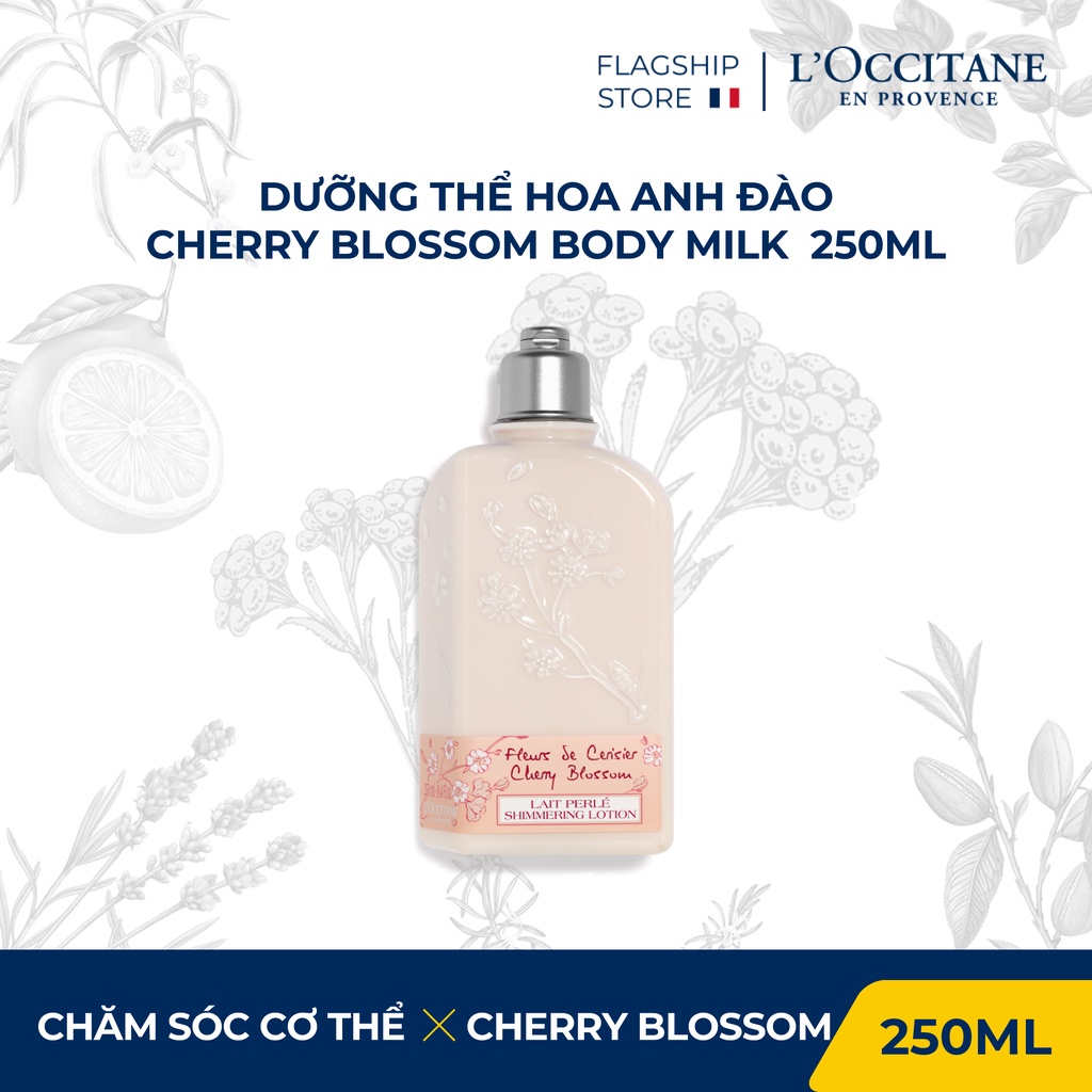 Dưỡng ẩm cơ thể hương Hoa Anh Đào L'Occitane Cherry Blossom Body Milk 250ml