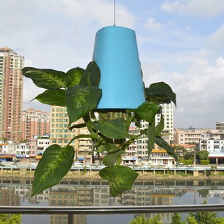 Chậu Trồng Cây Treo Ngược Tiện Lợi