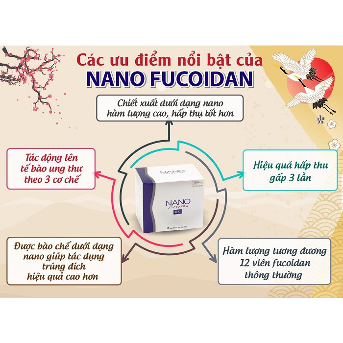 Nano Fucoidan Extract Granule 30 Gói - Hỗ Trợ Điều Trị Ung Thư