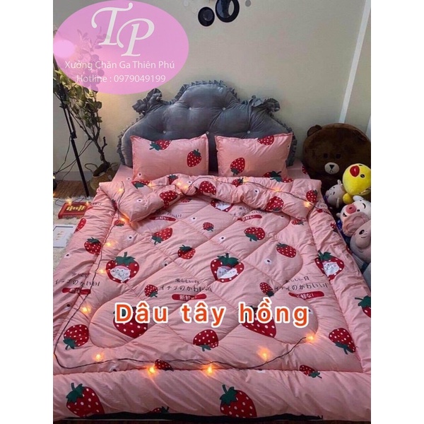 ❤️Bộ Chăn Ga Gối 5 Món Chăn Phao Hồng Cute Đáng Yêu
