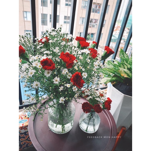 Lọ hoa thuỷ tinh phong cách Bắc âu - Lọ hoa decor (gồm hai lọ to và nhỏ)