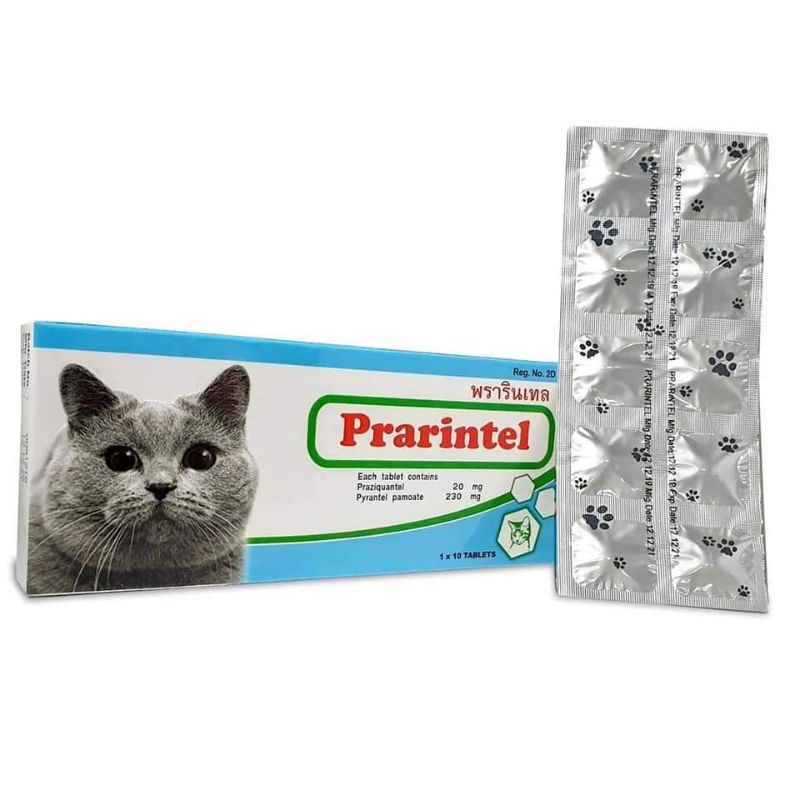 Prarintel - Viên xổ zun mèo của Thái Lan nhập khẩu trực tiếp