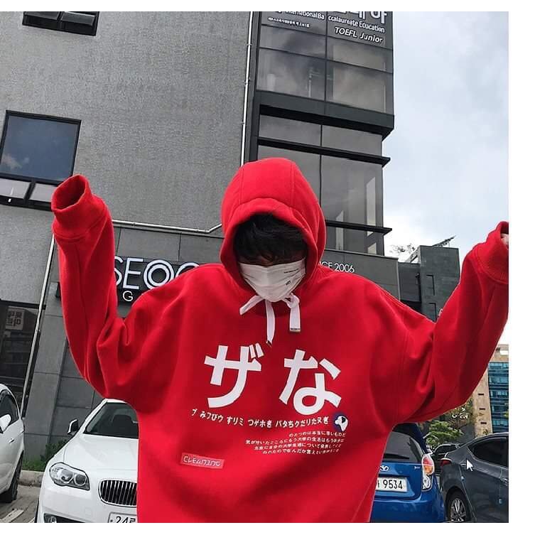 Áo hoodie Nỉ ngoại