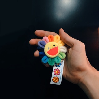 Hoa Kaiki bảy màu