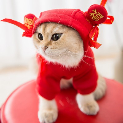 Áo Cho chó mèo có mũ tai Natra