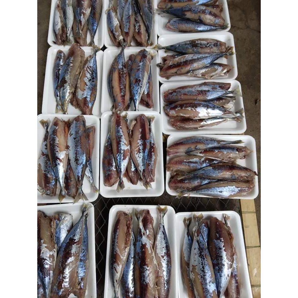 Cá nục khô một nắng an toàn, tươi ngon, đóng bao 0.5kg  - cá 1 nắng