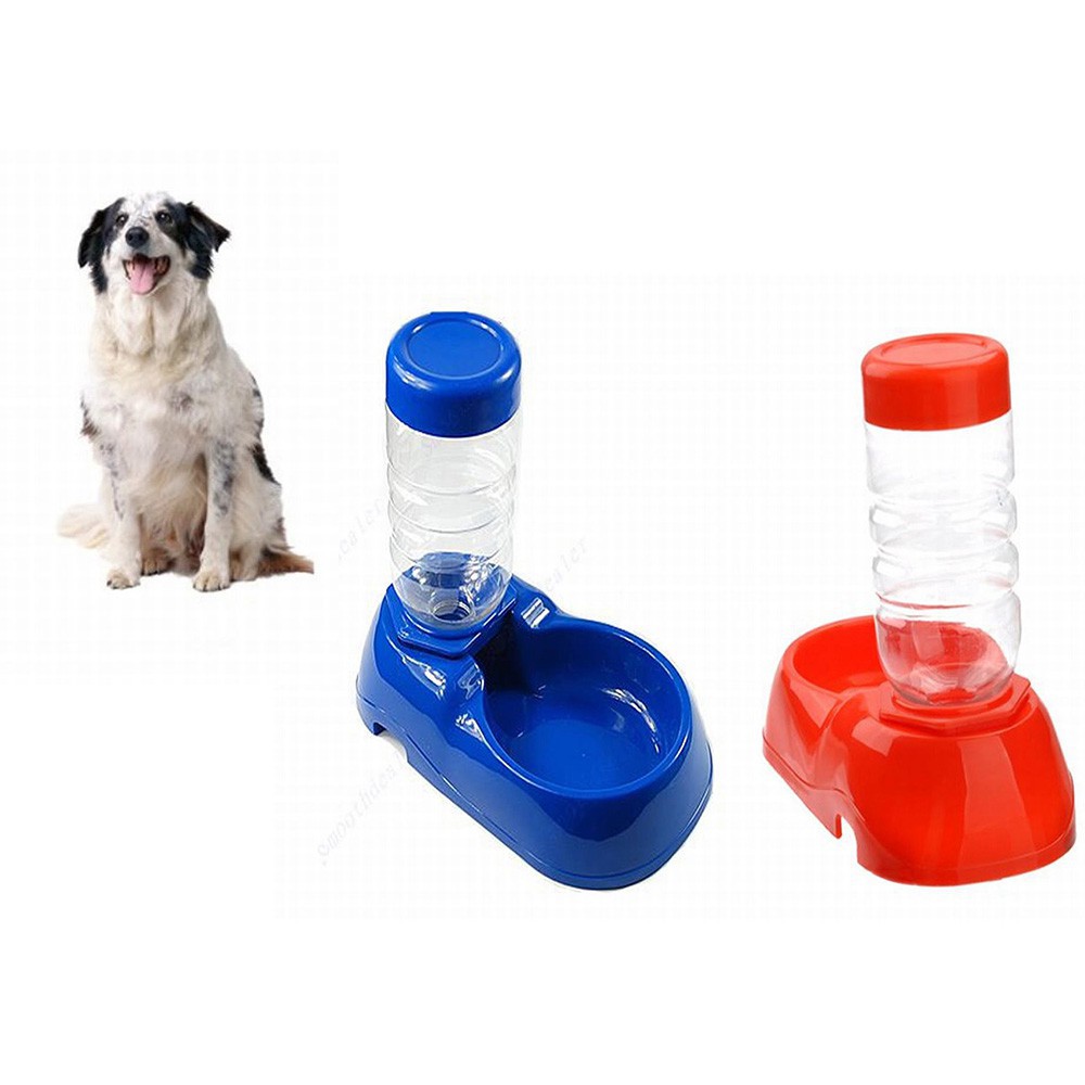 Doremiu- Bình nước tự động cho chó mèo dạng khay uống đơn đặt nền kèm bình phù hợp chó mèo dưới 5kg